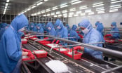 Multi-channel, multi-directional Vietnamese agricultural markets: [4] EVFTA and the 0% tax advantage