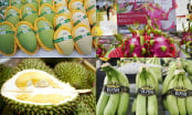 Multi-channel, multi-directional Vietnamese agricultural markets: [5] Safety is the key
