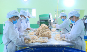 Bảo hiểm thất nghiệp - Điểm tựa của người lao động vùng Việt Bắc [Bài1]: Đảm bảo an sinh, xóa đói giảm nghèo