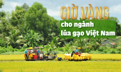 [Bài 2]: Sắp xếp thời vụ, đảm bảo thắng chắc lúa thu đông và đông xuân