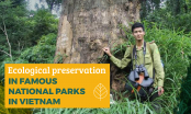 From a fondness for the forest to the pleasures of photography