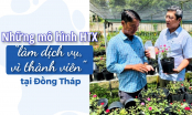 [Bài 3] HTX Hoa kiểng Tân Quy Đông góp phần nâng tầm thương hiệu hoa kiểng Sa Đéc