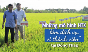 [Bài 5]: Điển hình hợp tác xã chuyển đổi tư duy sản xuất