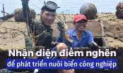 Doanh nghiệp sẵn sàng đầu tư sản xuất, chỉ lo đầu ra sản phẩm
