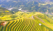 Yen Bai heritage land: Mong people’s natural landscape