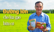 Hợp tác xã tiên phong trồng hơn 100ha lúa hữu cơ