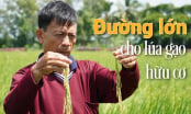 Chiến lược lúa đặc sản gắn với hữu cơ của Sóc Trăng