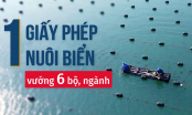 [Bài 6] Đại biểu Quốc hội 'hiến kế' tháo gỡ điểm nghẽn quy hoạch nuôi biển