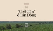 Nỗi đau của đất: [Bài 2] 'Chết đứng' ở Tân Đông