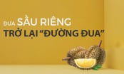 Đưa sầu riêng trở lại 'đường đua'