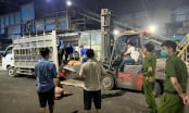 Hàng tấn lợn chết, bốc mùi hôi thối đang tuồn đi tiêu thụ