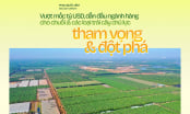 Đưa ngành chuối Việt Nam vượt mốc tỷ USD - tham vọng và đột phá