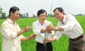 An Giang thành lập các phòng chuyên môn cấp xã