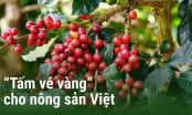 'Tấm vé vàng' cho nông sản Việt: [Bài 1] EU - thị trường tỷ USD còn bỏ ngỏ