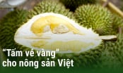 'Tấm vé vàng' cho nông sản Việt: [Bài 2] Trung Quốc không còn là thị trường dễ tính