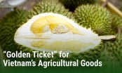 China is now a quality-oriented market