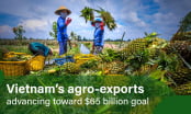 Fruit and vegetable exports on track for $8 billion target