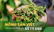 Dự báo xuất khẩu hạt tiêu quý IV khởi sắc