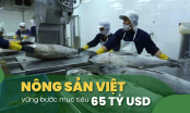 Kiến nghị sửa đổi khẩn cấp nghị định về khai thác cá ngừ