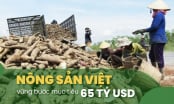 Xuất khẩu sắn lấy lượng bù giá