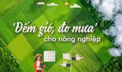 Khi dự báo thời tiết đồng hành
