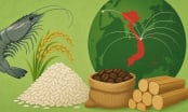 Thị trường nông sản Việt đa kênh, đa hướng: [Bài 1] Thế trận toàn cầu