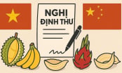Thị trường nông sản Việt đa kênh, đa hướng: [Bài 2] Những 'nghị định thư mở đường'