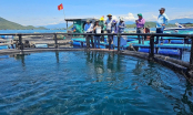 Advanced mariculture – an inevitable trend: [1] Moving offshore