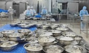 Turning seafood by-products into ‘green gold’: [1] Great potential