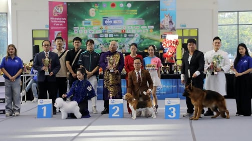 Lần đầu tổ chức Dog Show, Đà Nẵng ghi dấu ấn phong trào thú cưng Việt