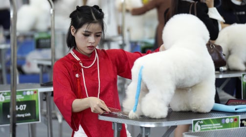 Giới trẻ TP.HCM chi mạnh tay cho thú cưng