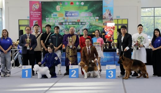 Lần đầu tổ chức Dog Show, Đà Nẵng ghi dấu ấn phong trào thú cưng Việt