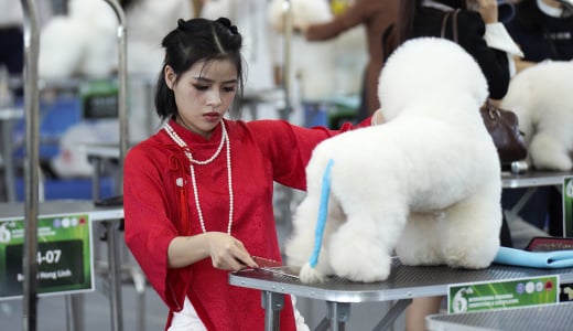 Giới trẻ TP.HCM chi mạnh tay cho thú cưng