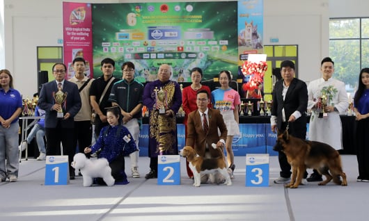 Lần đầu tổ chức Dog Show, Đà Nẵng ghi dấu ấn phong trào thú cưng Việt