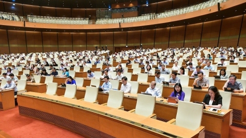 Cần nghiên cứu nội dung về đấu thầu dự án và chỉnh lý nội dung liên quan đấu giá quyền khai thác khoáng sản, nhằm đáp ứng yêu cầu chống tiêu cực, tham nhũng