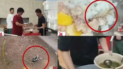 Phó Thủ tướng: Xử lý nghiêm sai phạm vụ bữa ăn sinh viên tại Đại học Bách Khoa Hà Nội