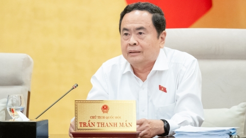 'Bỏ cọc' sau khi trúng đấu giá tác động tiêu cực đến thị trường nhà ở