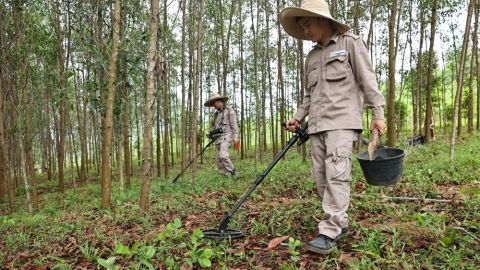 Tăng mức bồi dưỡng đối với người rà phá bom, mìn, vật nổ sau chiến tranh từ 1/12/2024