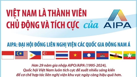 Việt Nam là thành viên chủ động và tích cực của AIPA