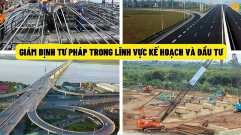 Tiêu chuẩn, thủ tục bổ nhiệm giám định viên tư pháp lĩnh vực kế hoạch và đầu tư là gì?