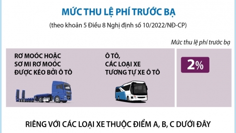 Mức thu lệ phí trước bạ đối với ô tô sản xuất trong nước từ 01/12/2024