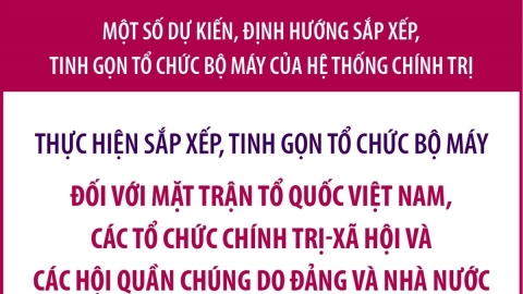 Dự kiến sắp xếp, tinh gọn tổ chức bộ máy Mặt trận Tổ quốc Việt Nam, tổ chức chính trị - xã hội