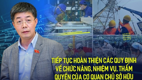 Tiếp tục hoàn thiện các quy định về chức năng, nhiệm vụ, thẩm quyền của cơ quan chủ sở hữu vốn nhà nước tại doanh nghiệp…