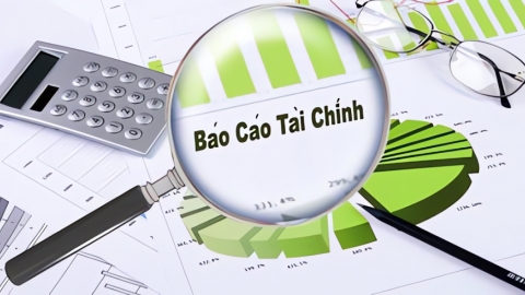 FID đính chính thông tin báo cáo tài chính