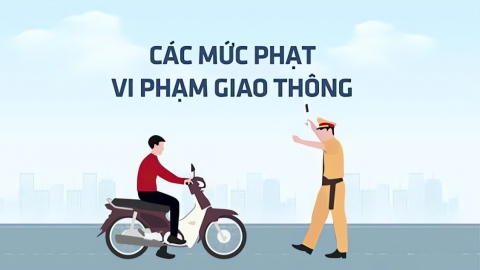 Chi tiết về mức xử phạt khi vi phạm giao thông áp dụng từ 01/01/2025