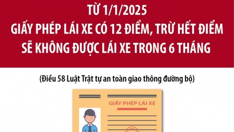 Từ 1/1/2025: Giấy phép lái xe có 12 điểm, hết điểm sẽ không được lái xe 6 tháng