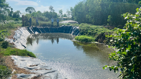 Cảnh báo nguy cơ ô nhiễm môi trường nước, khí: Từ những bất cập trong đánh giá tác động môi trường các trang trại nuôi lợn