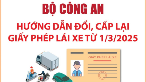 Bộ Công an hướng dẫn đổi, cấp lại giấy phép lái xe từ 1/3/2025
