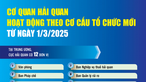 Danh sách, địa điểm 20 Chi cục Hải quan khu vực từ 01/3/2025