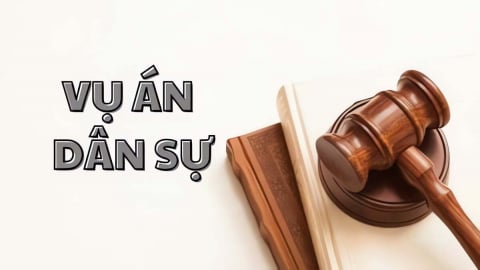 Đình chỉ giải quyết vụ án dân sự theo pháp luật một số nước và kinh nghiệm cho Việt Nam